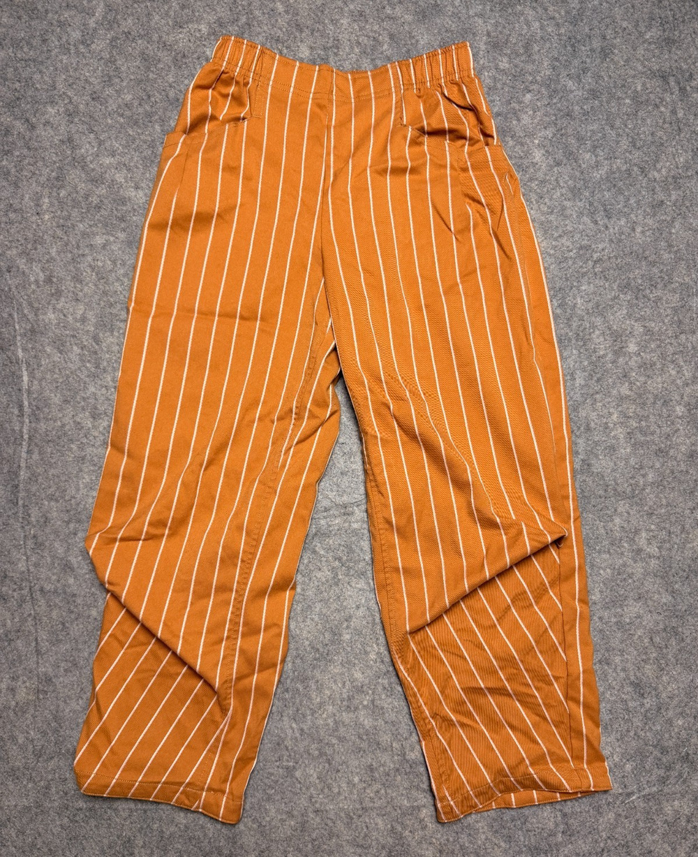 Free People Pull On Nice Choice Pants Caramel Pinstripe Women's XS